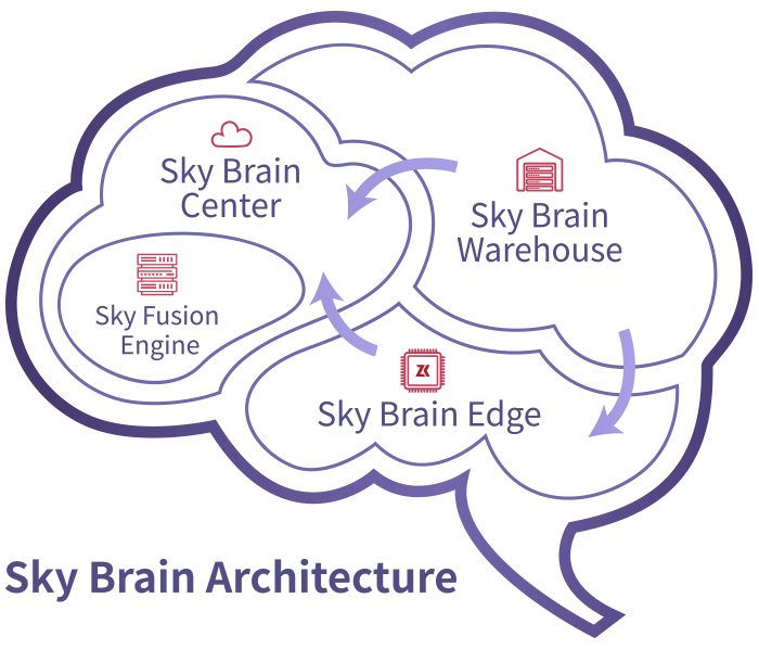 brain brain